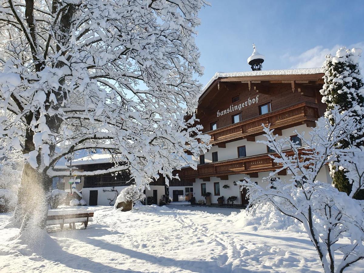 Alloggio per agriturismo Bauernhof Hanslingerhof